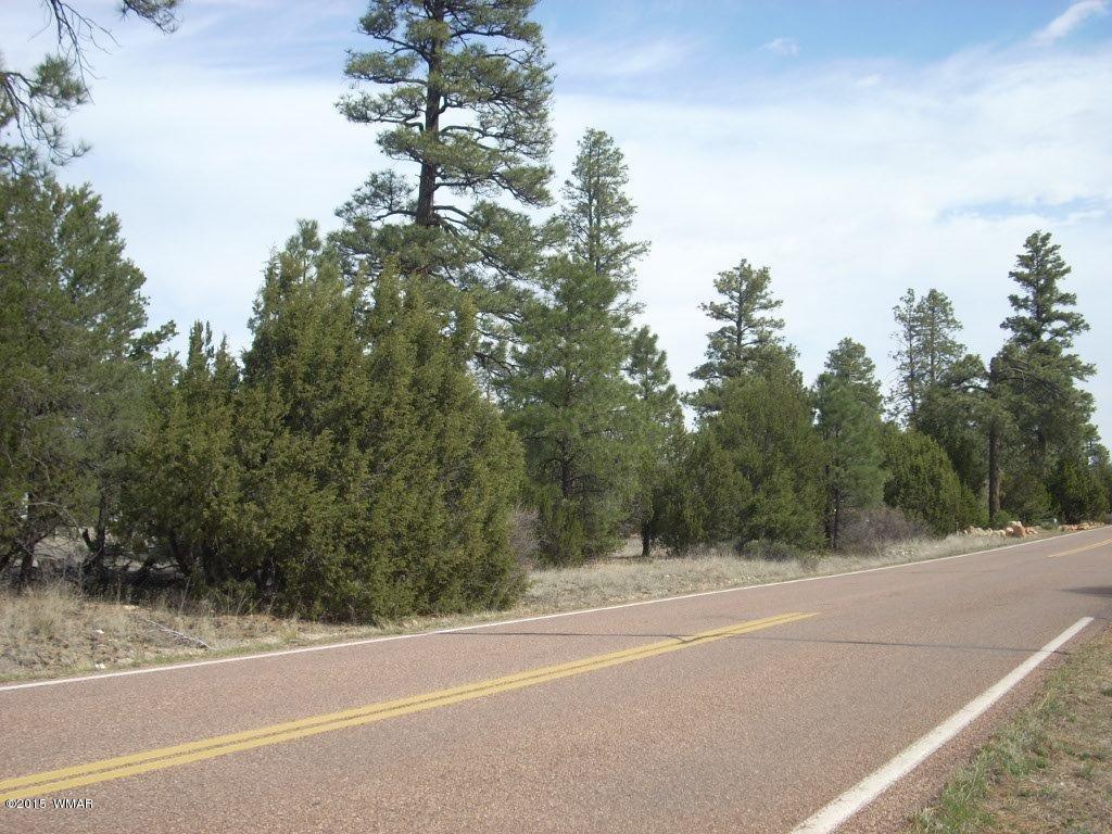 2970 Pine Rim Road Heber, AZ 85928 - Photo 15 of 16 a view of a yard