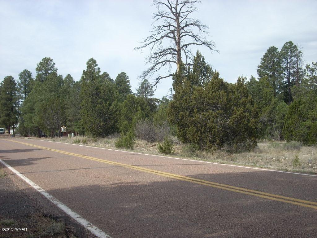 2970 Pine Rim Road Heber, AZ 85928 - Photo 16 of 16 a view of a yard and mountain view