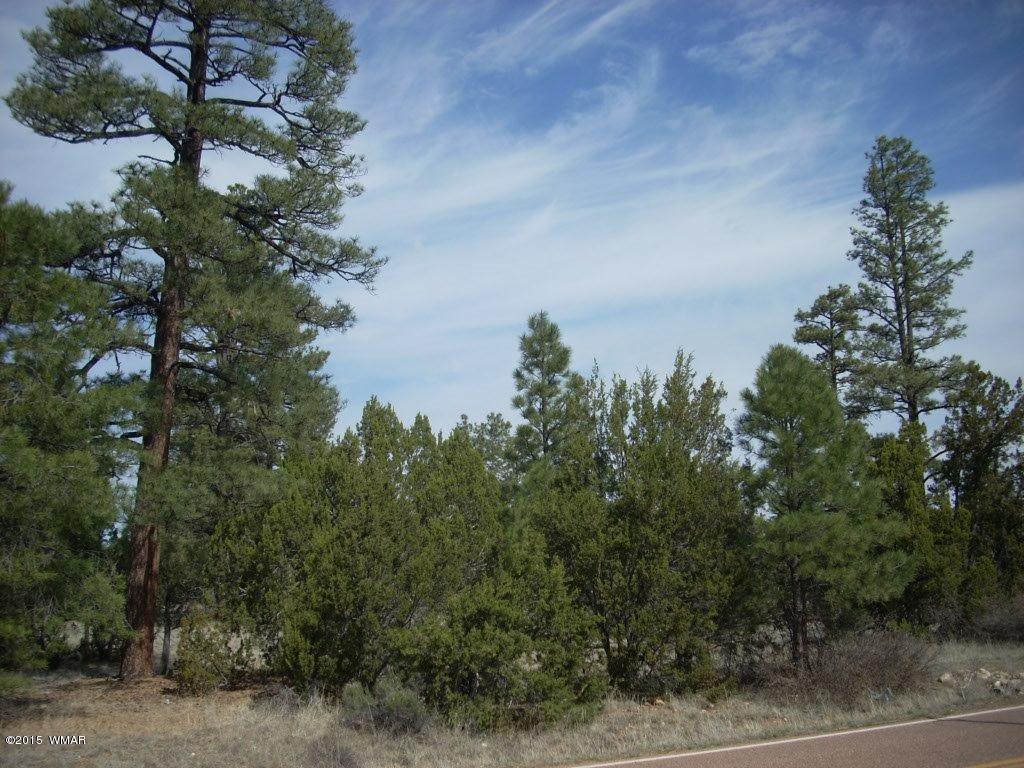 2970 Pine Rim Road Heber, AZ 85928 - Photo 3 of 16 a view of a lake