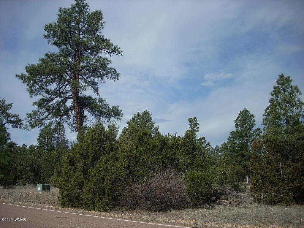 2970 Pine Rim Road Heber, AZ 85928 - Photo 4 of 16 a view of a bunch of trees in a field