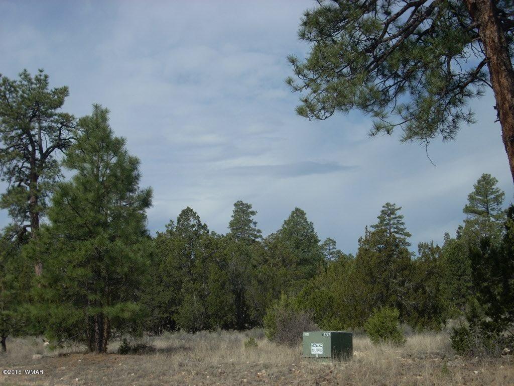 2970 Pine Rim Road Heber, AZ 85928 - Photo 5 of 16 a view of a lake in middle of the forest