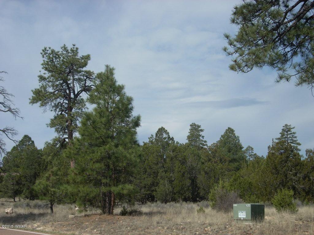 2970 Pine Rim Road Heber, AZ 85928 - Photo 6 of 16 a view of a lake with a tree in the background