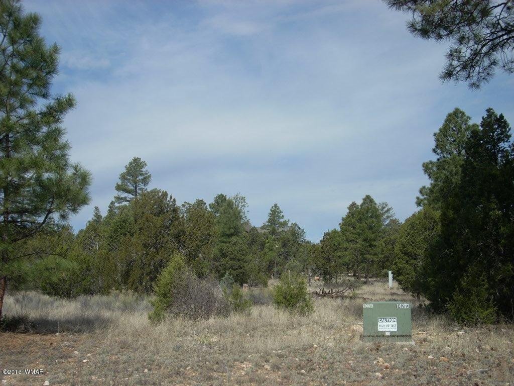2970 Pine Rim Road Heber, AZ 85928 - Photo 9 of 16 a view of a field with trees in the background