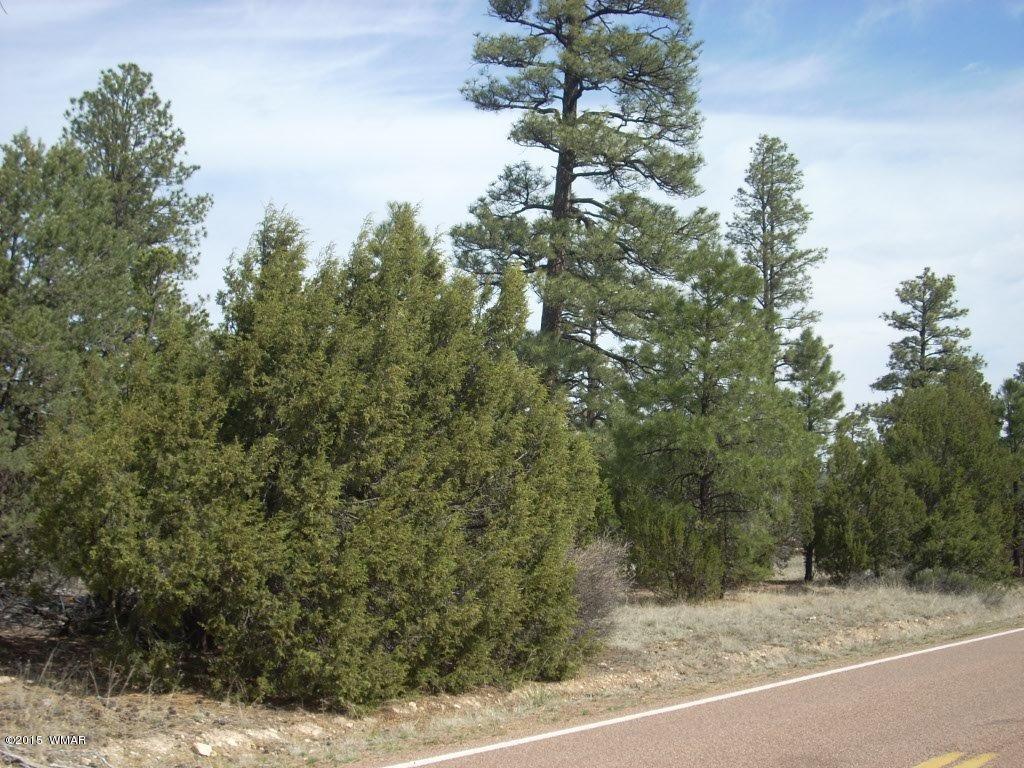 2970 Pine Rim Road Heber, AZ 85928 - Photo 10 of 16 a view of a yard with a tree