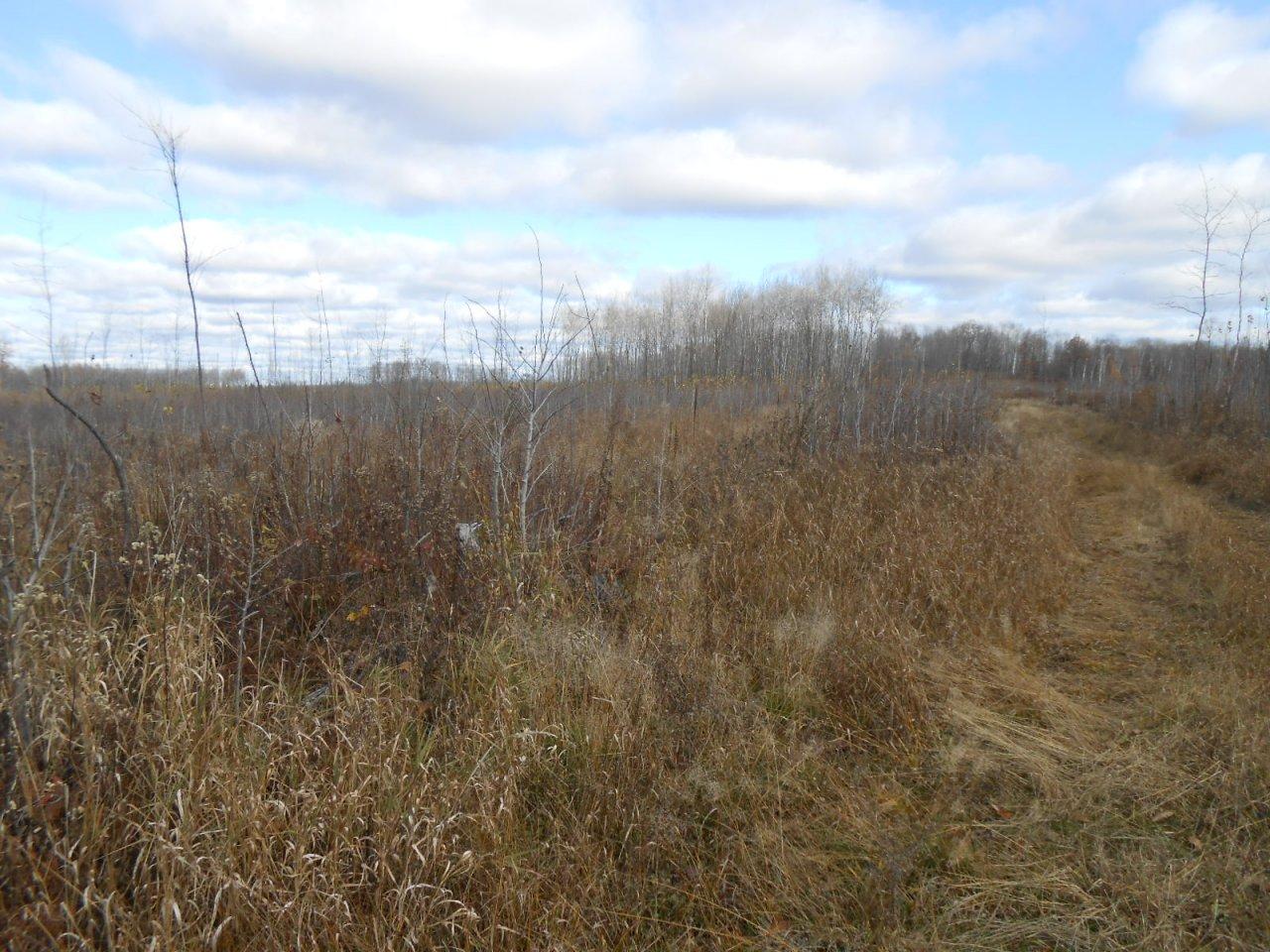 On Goetzke Road Prentice, WI 54556 - Photo 8 of 33 Gallery Image 8