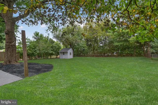 a view of a white house with a small yard and a large tree