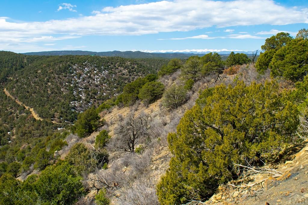 Tbd Turkey Run Trinidad, CO 81082 - Photo 38 of 60
