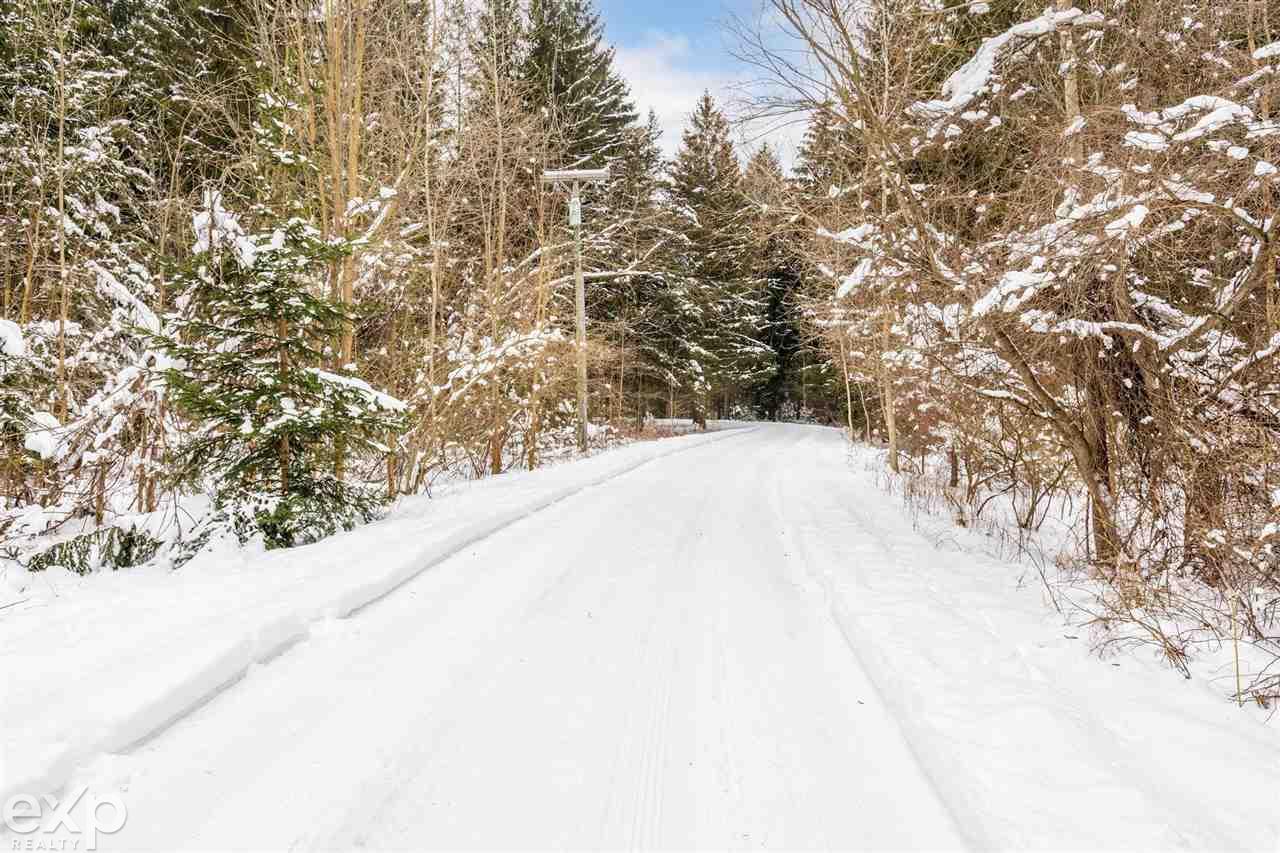 3951 Jones Road North Branch, MI 48461 - Photo 8 of 45