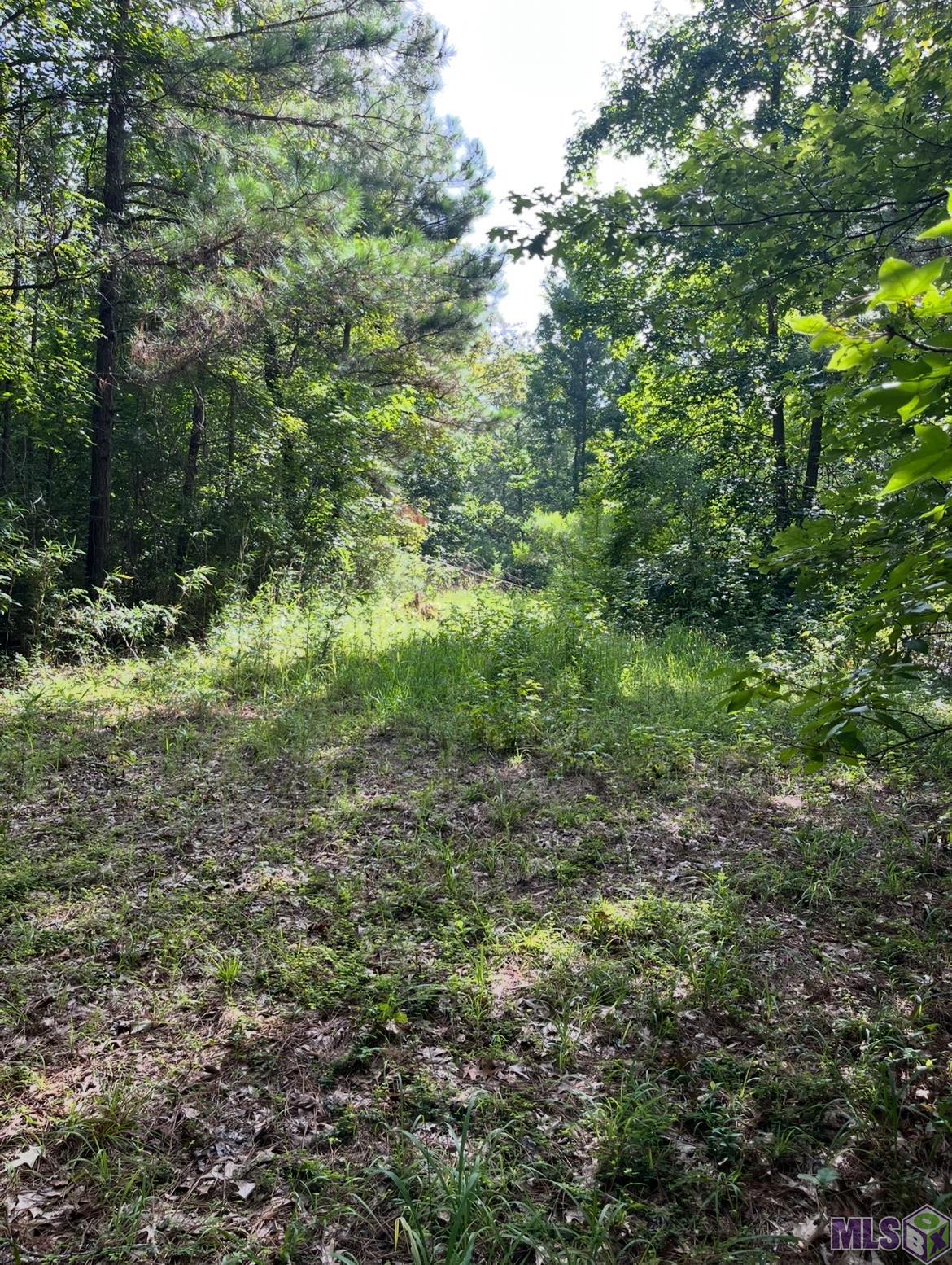 0 Paul Gallows Road Utica, MS 39175 - Photo 9 of 23