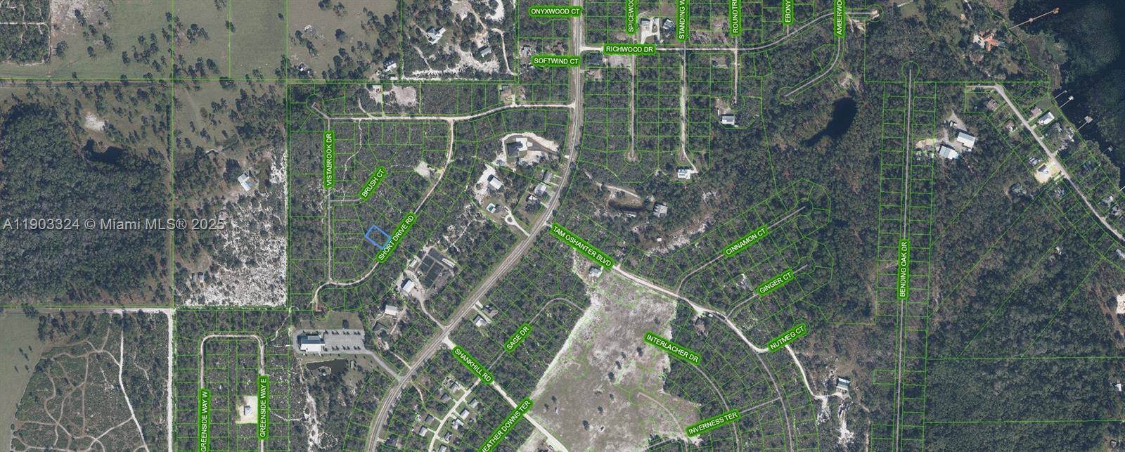 10323 Short Drive Sebring, FL 33875 - Photo 2 of 5 a backyard of a house with lots of green space and plants