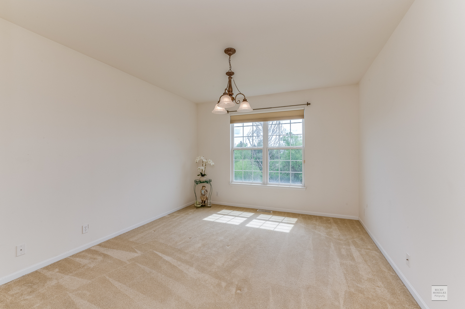 1267 Dorr Drive Sugar Grove, IL 60554 - Photo 14 of 27