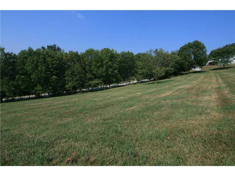 161 Deerfield Road Washington, PA 15301 - Photo 24 of 25 Land/Lot. The house and shed in the distance...