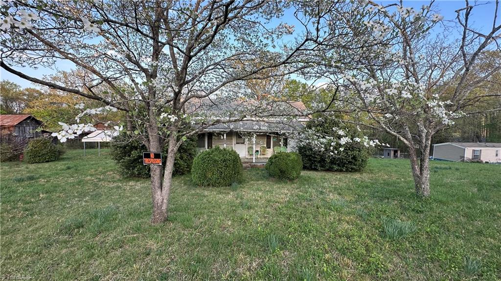 377 Bob Loflin Road Denton, NC 27239 - Photo 5 of 18 Gallery Image 5