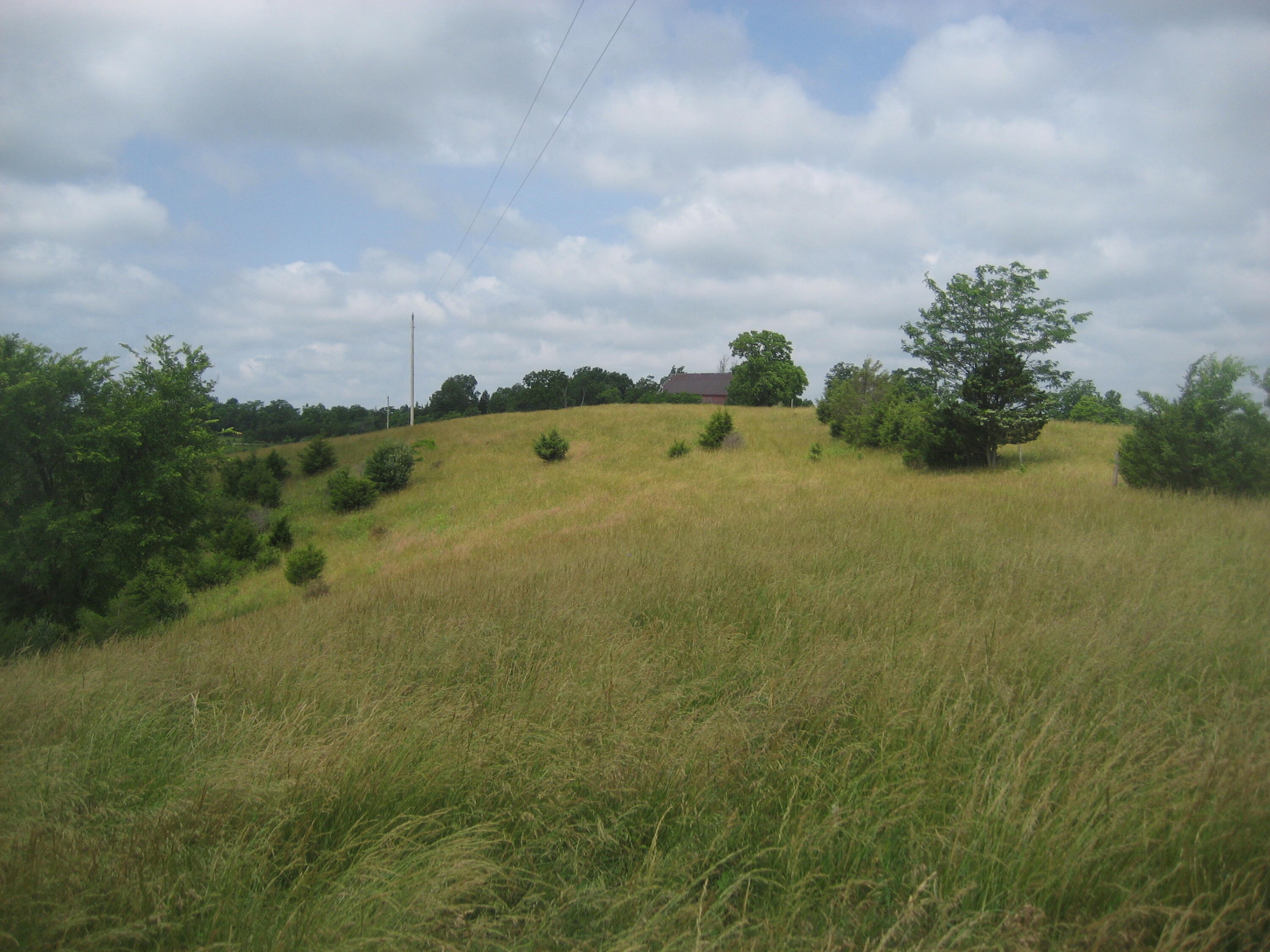 0 Spider Road Berry, KY 41003 - Photo 22 of 49 IMG_1530