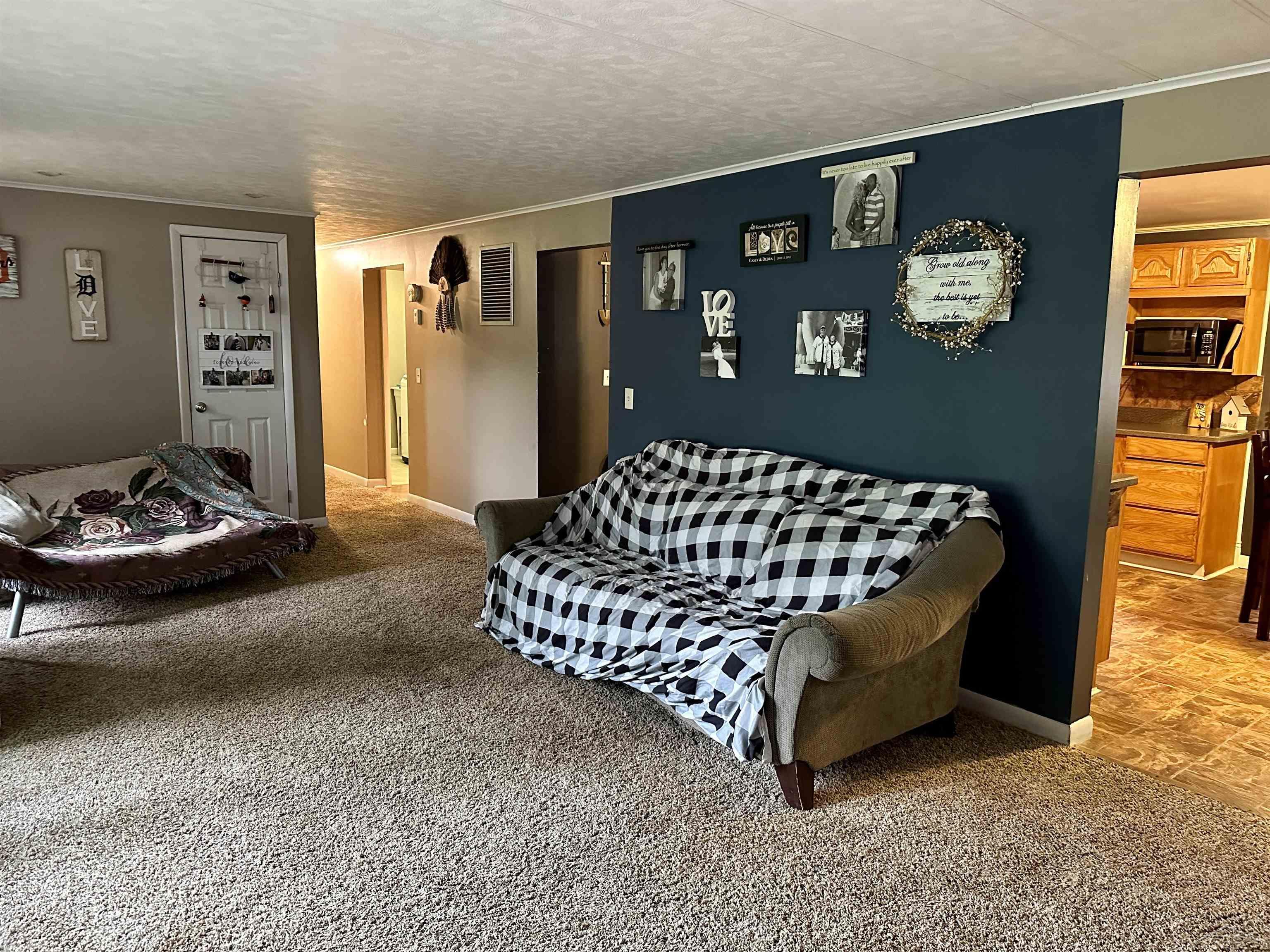 3906 Hanes Road Vassar, MI 48768 - Photo 10 of 70 50118311-9.JPG