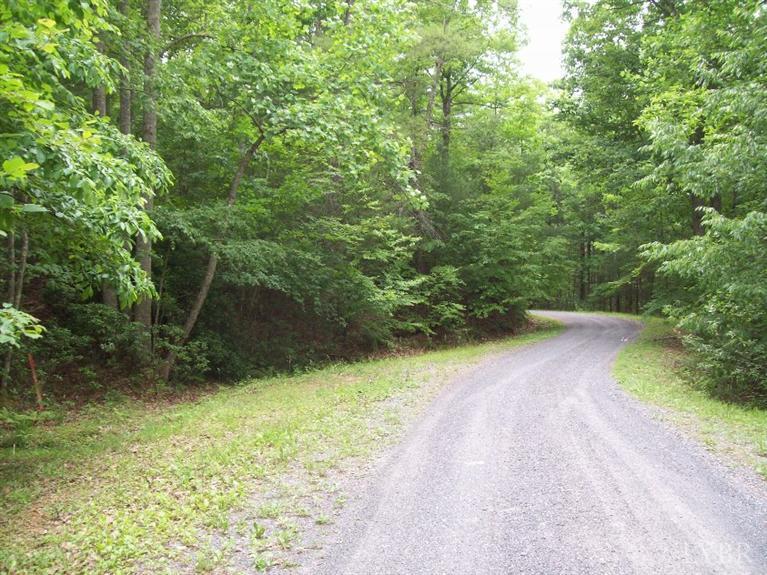 0 Stoney Brook Road Vesuvius, VA 24483 - Photo 6 of 6 Gallery Image 6