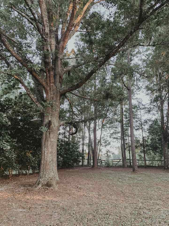 1503 Pine Bluff Road Perry, FL 32348 - Photo 2 of 5
