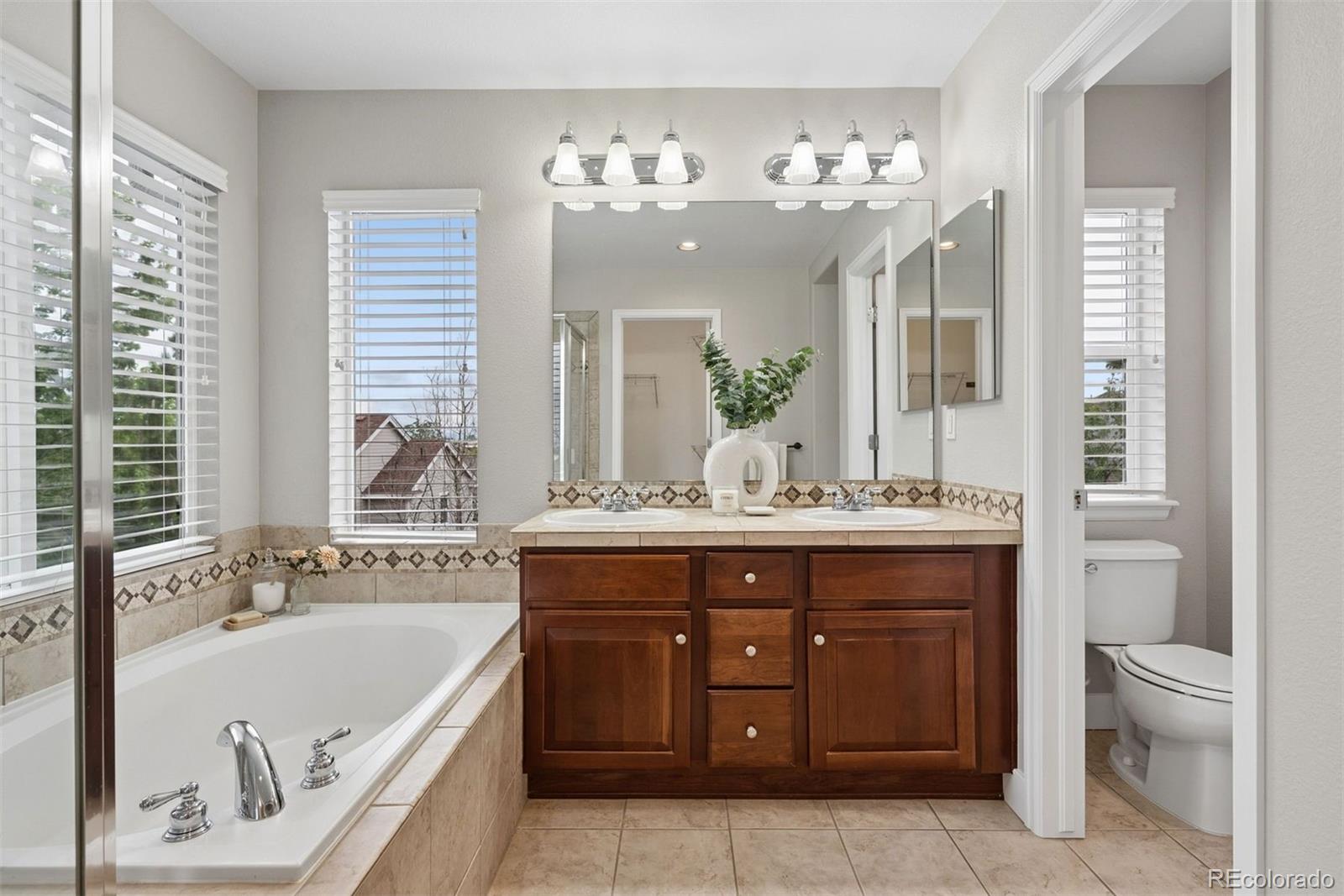 10863 Towerbridge Road Highlands Ranch, CO 80130 - Photo 20 of 42