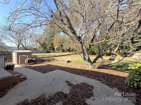 a view of yard with large tree