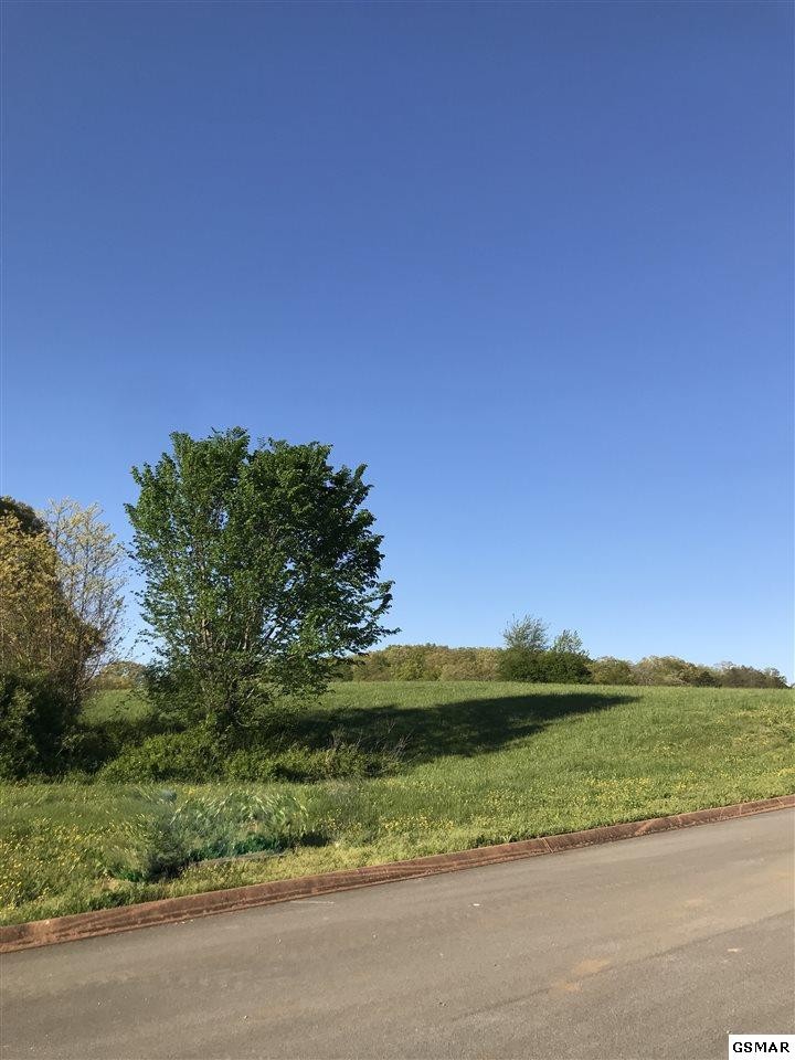 86 Shiloh Springs Road Rutledge, TN 37861 - Photo 4 of 14 Gallery Image 4