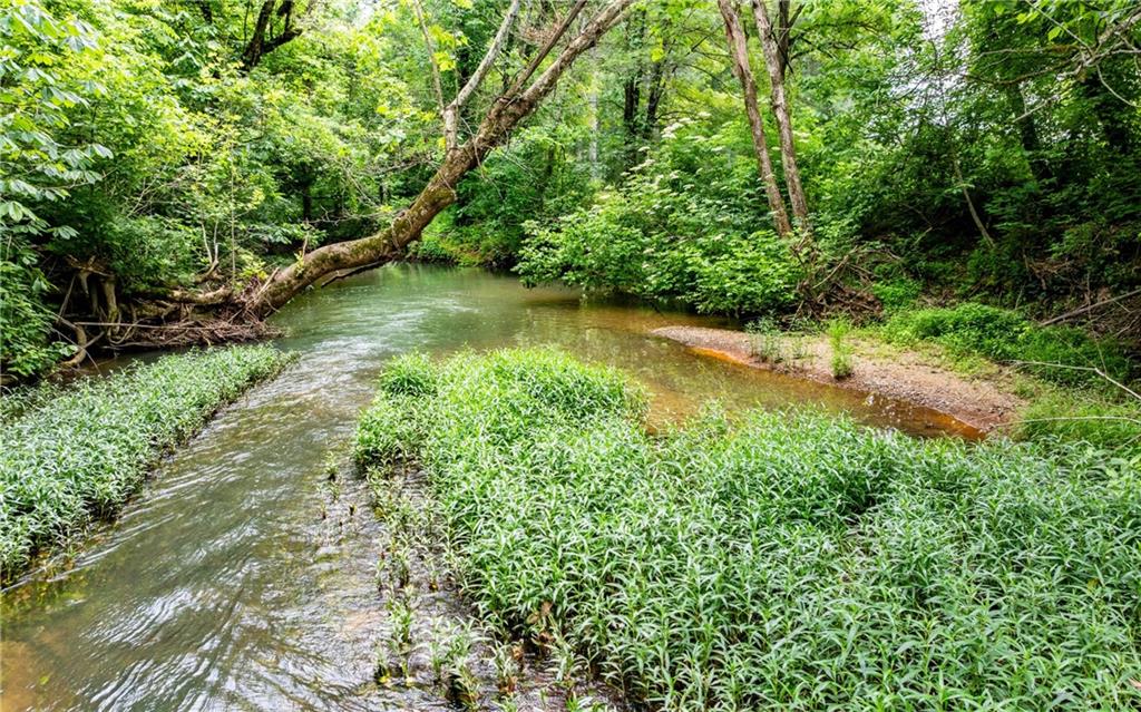 116-ac Pine Hill Road Southeast Rydal, GA 30171 - Photo 17 of 32 a view of a lake with a yard