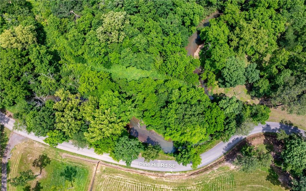 116-ac Pine Hill Road Southeast Rydal, GA 30171 - Photo 18 of 32 a view of a garden