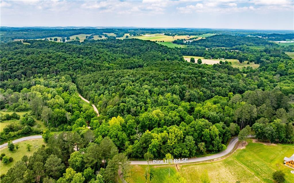 116-ac Pine Hill Road Southeast Rydal, GA 30171 - Photo 21 of 32 a view of a city