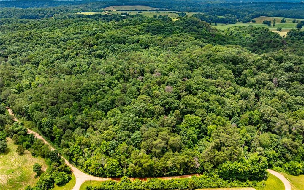 116-ac Pine Hill Road Southeast Rydal, GA 30171 - Photo 22 of 32