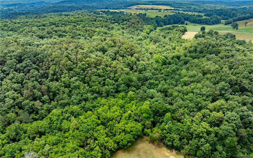 116-ac Pine Hill Road Southeast Rydal, GA 30171 - Photo 25 of 32 view of a lush green forest with lots of trees