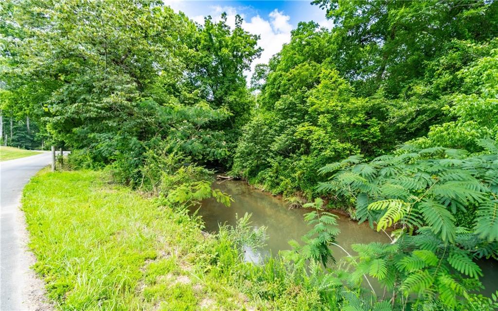 116-ac Pine Hill Road Southeast Rydal, GA 30171 - Photo 5 of 32 a view of a garden