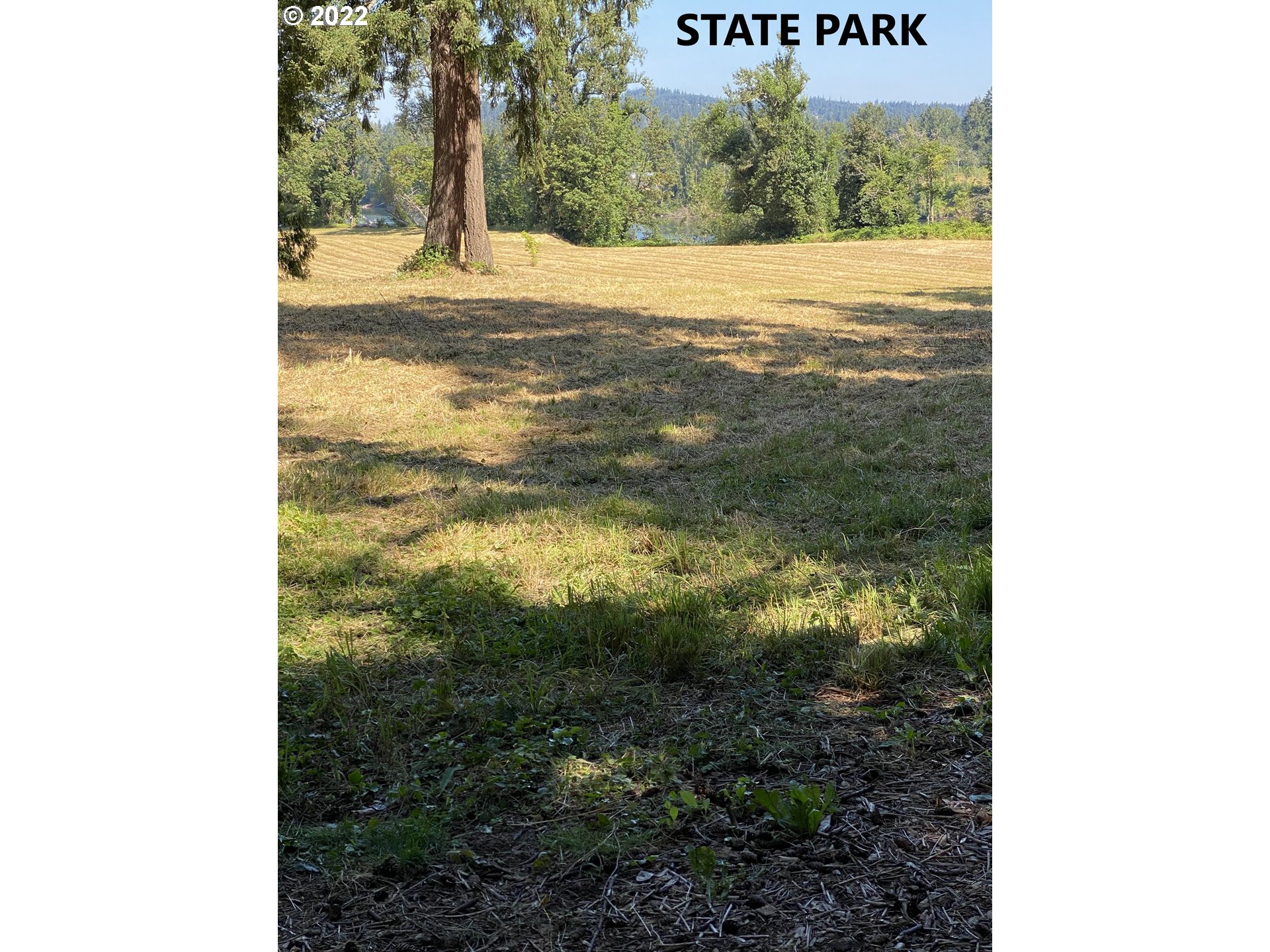 2124 Northeast Spitz Road Canby, OR 97013 - Photo 3 of 3
