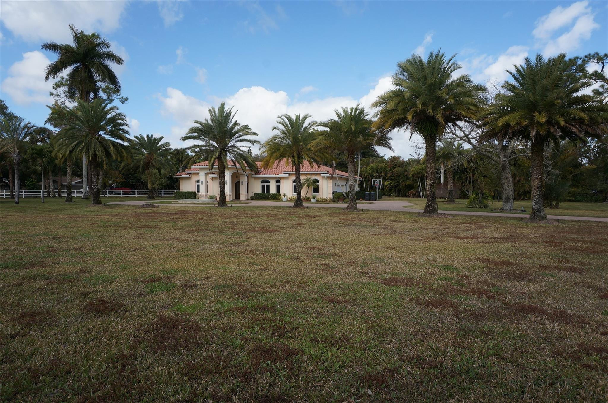 650 East Rambling Drive Wellington, FL 33414 - Photo 63 of 75 a row of palm trees in front of a house