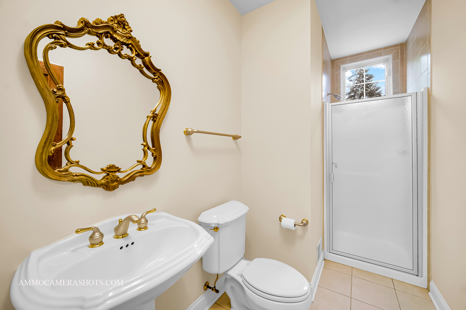 N451 Peter Road Winfield, IL 60190 - Photo 21 of 48 a bathroom with a sink and mirror with toilet