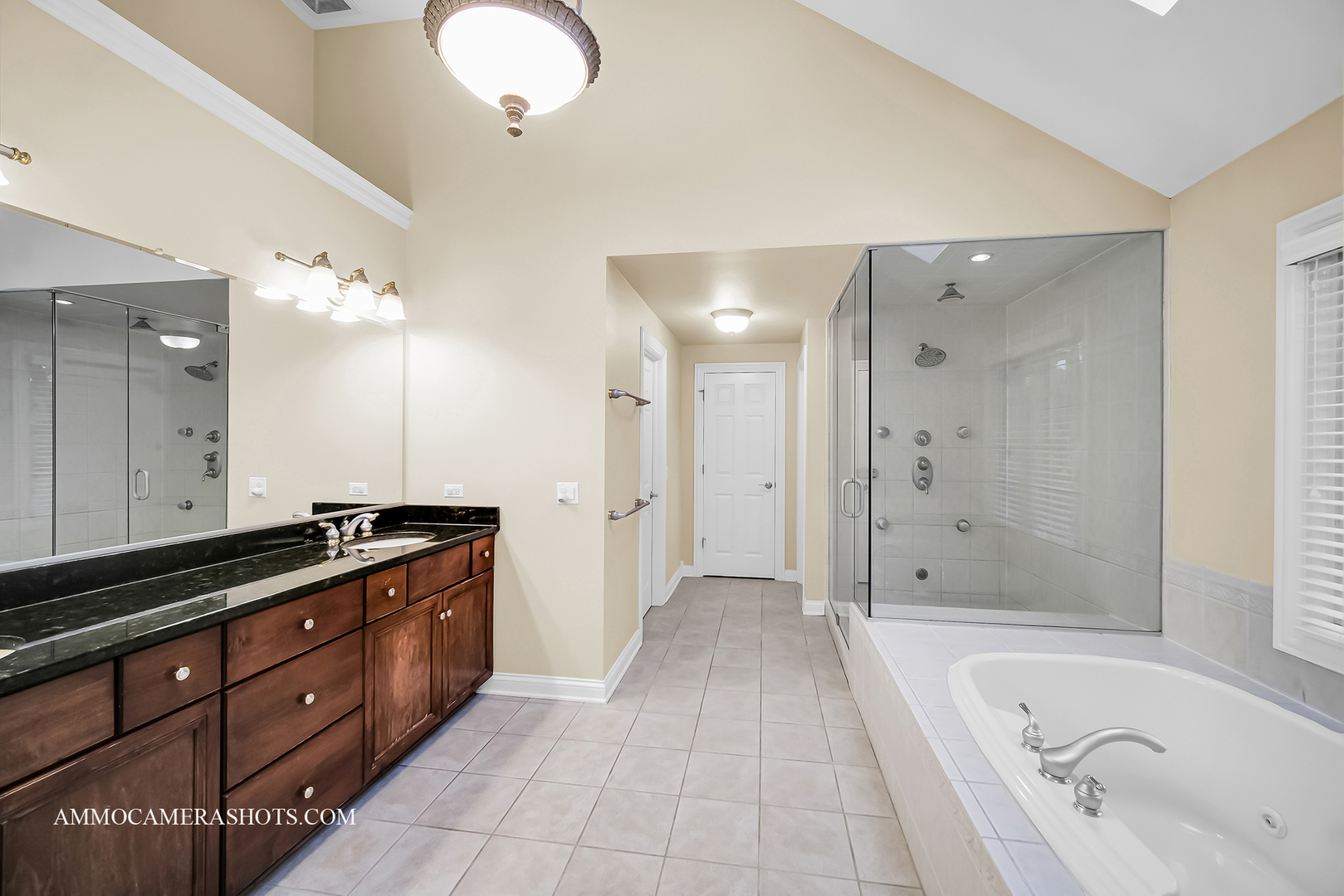 N451 Peter Road Winfield, IL 60190 - Photo 31 of 48 a spacious bathroom with a granite countertop sink mirror and shower