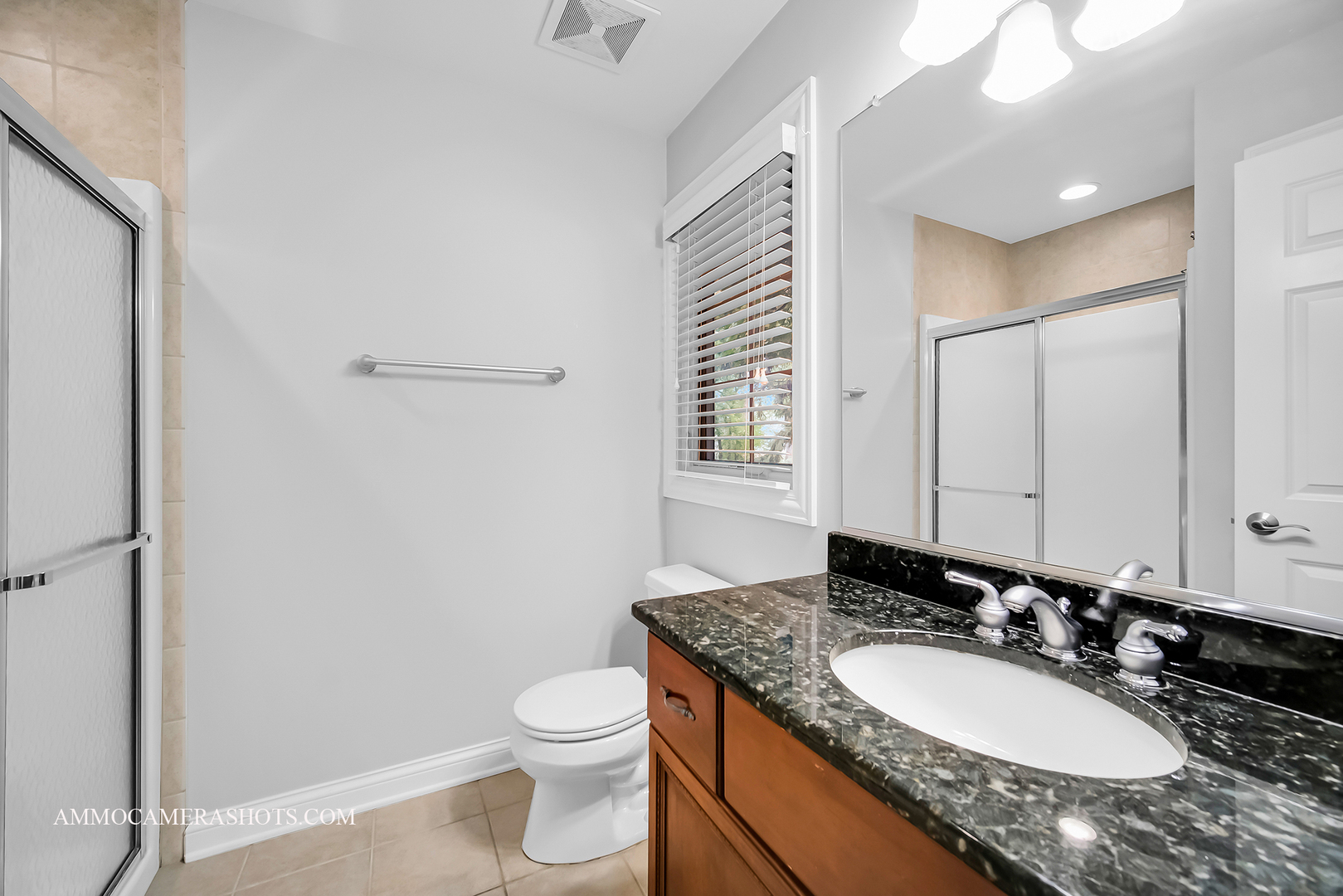 N451 Peter Road Winfield, IL 60190 - Photo 35 of 48 a bathroom with a granite countertop sink toilet and mirror