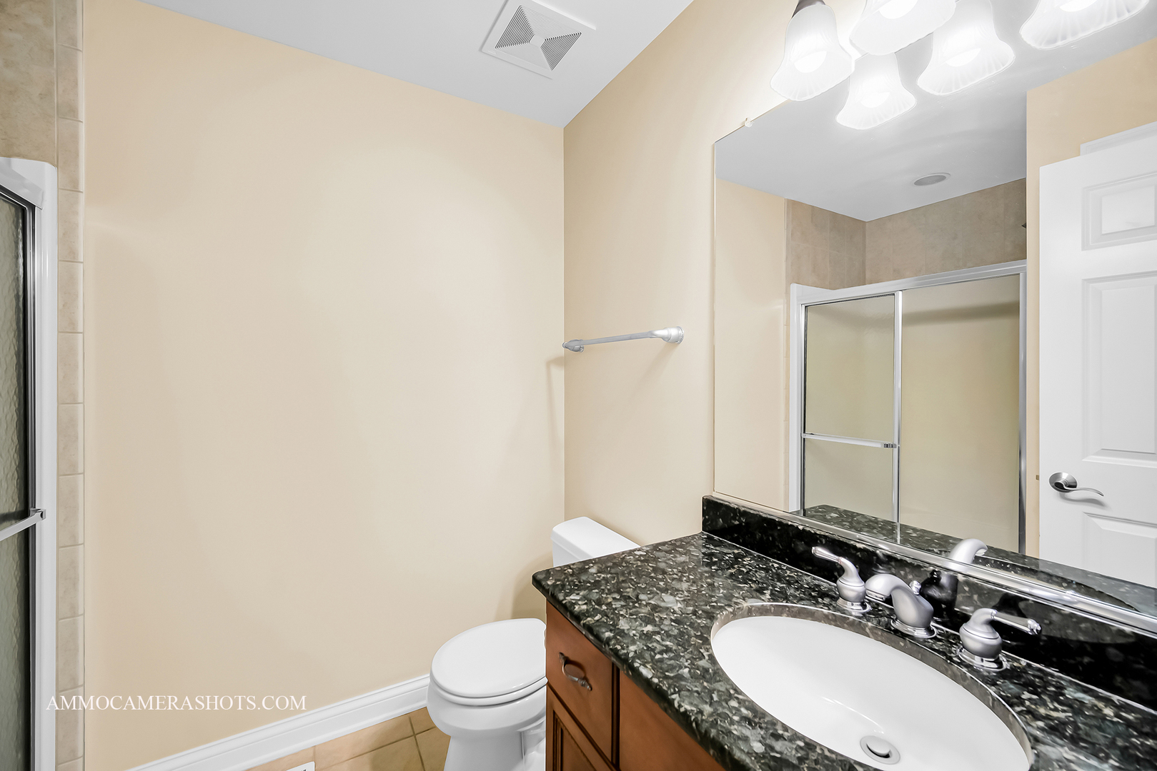 N451 Peter Road Winfield, IL 60190 - Photo 37 of 48 a bathroom with a granite countertop sink a toilet and a mirror