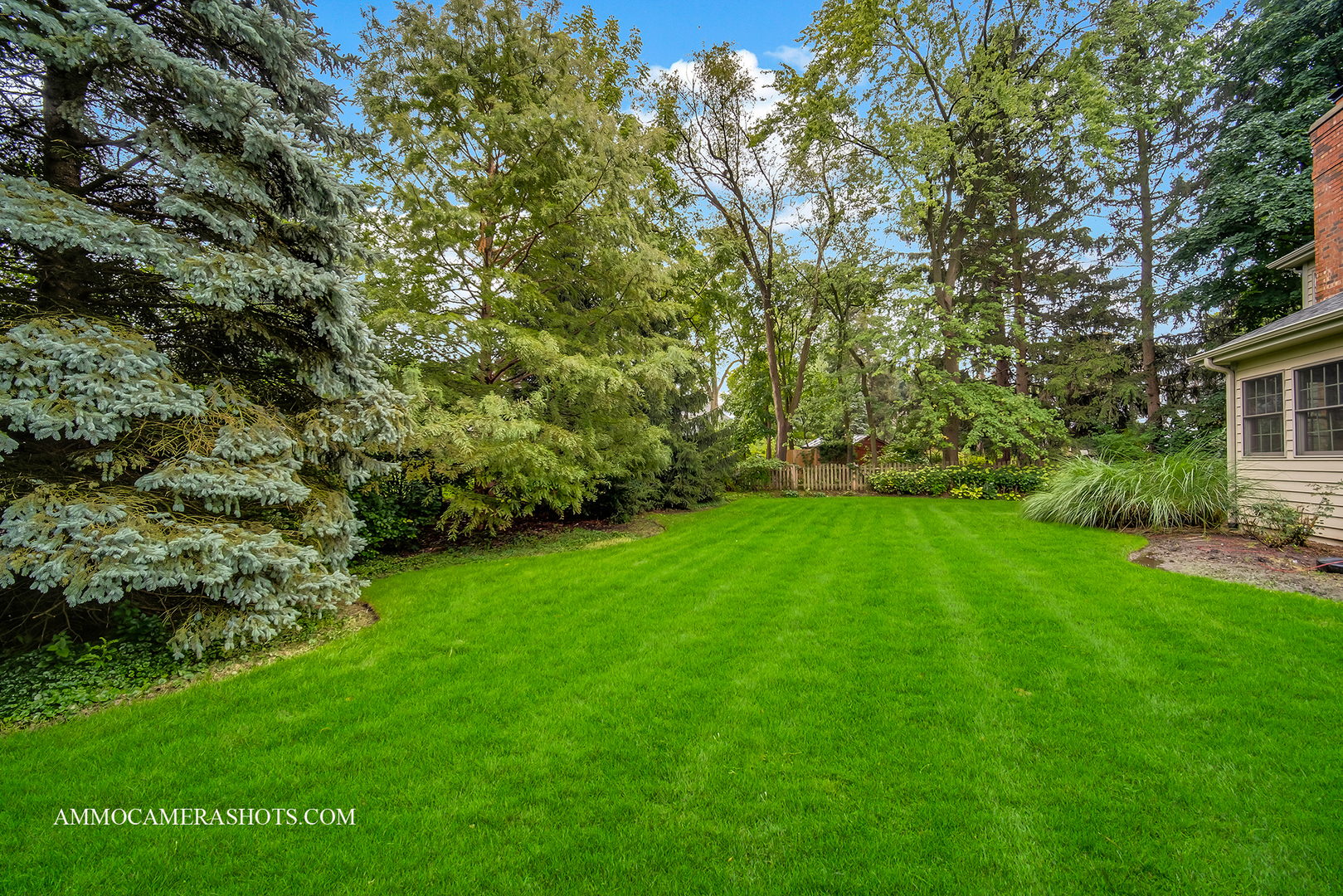 N451 Peter Road Winfield, IL 60190 - Photo 44 of 48 a view of yard with green space