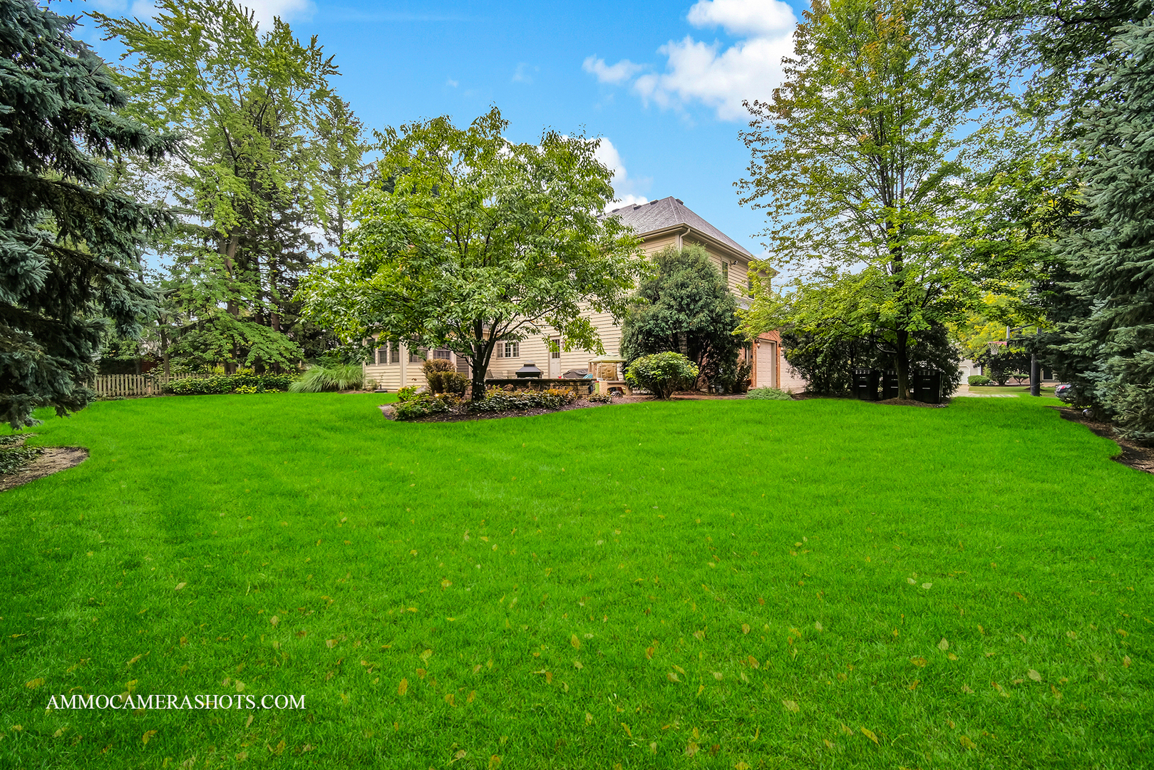 N451 Peter Road Winfield, IL 60190 - Photo 47 of 48 a view of a trees with a big yard
