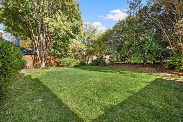 a view of green field