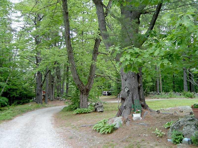 33 Rand Road Livermore, ME 04253 - Photo 25 of 27 Yard/Garden.