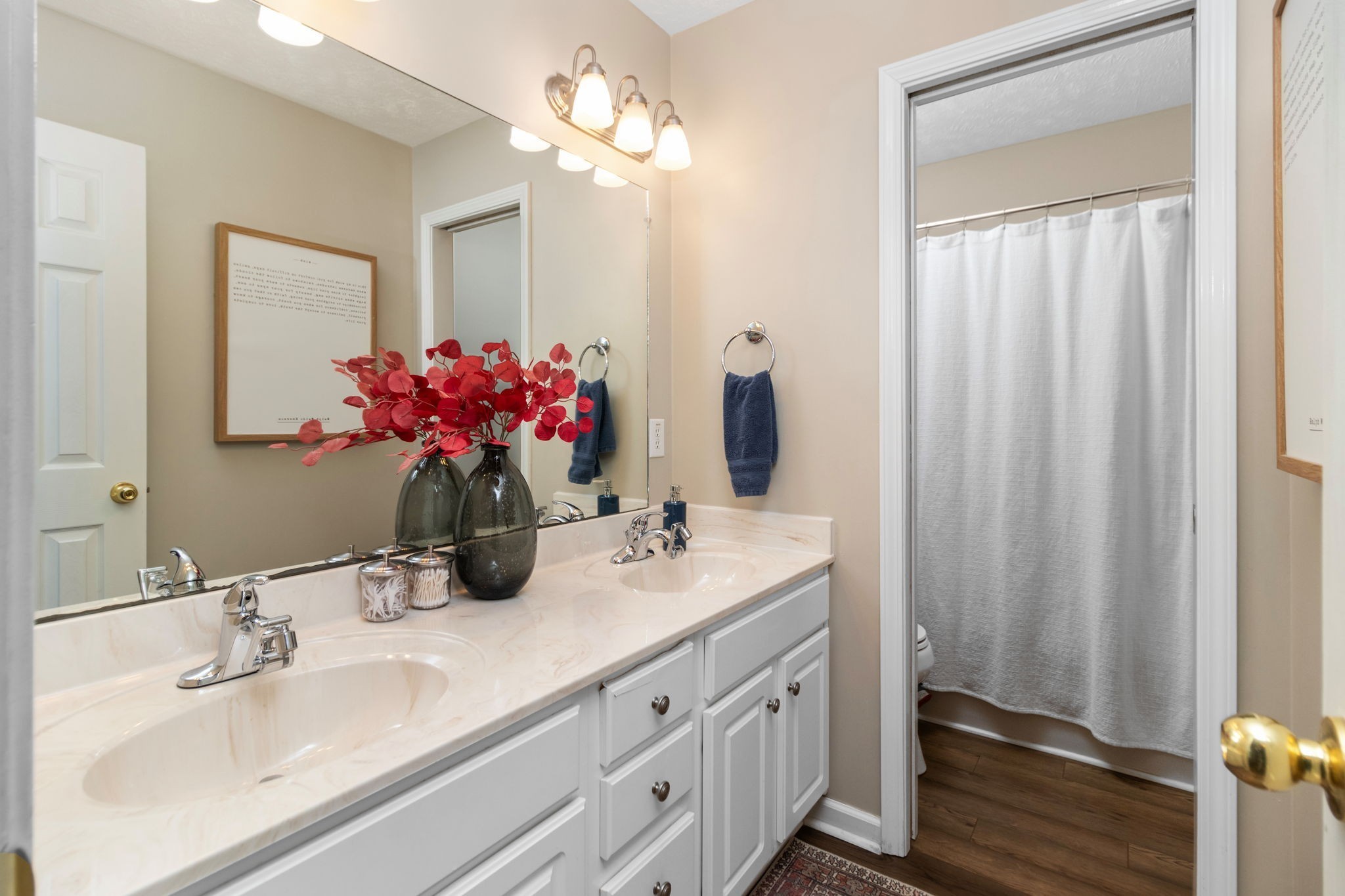 3572 Rabbit Run Trail Adams, TN 37010 - Photo 22 of 44 a bathroom with a sink vanity and a mirror
