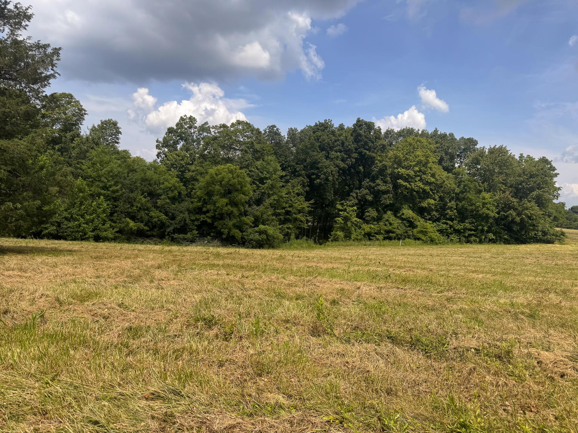 272 Golf Course Road, Unit TRACT 8 SKYLINEACRES) Waverly, OH 45690 - Photo 24 of 40 CT-24