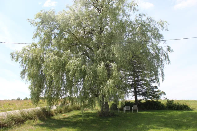 $59,000 | 486 North Street, Sherman, ME 04776