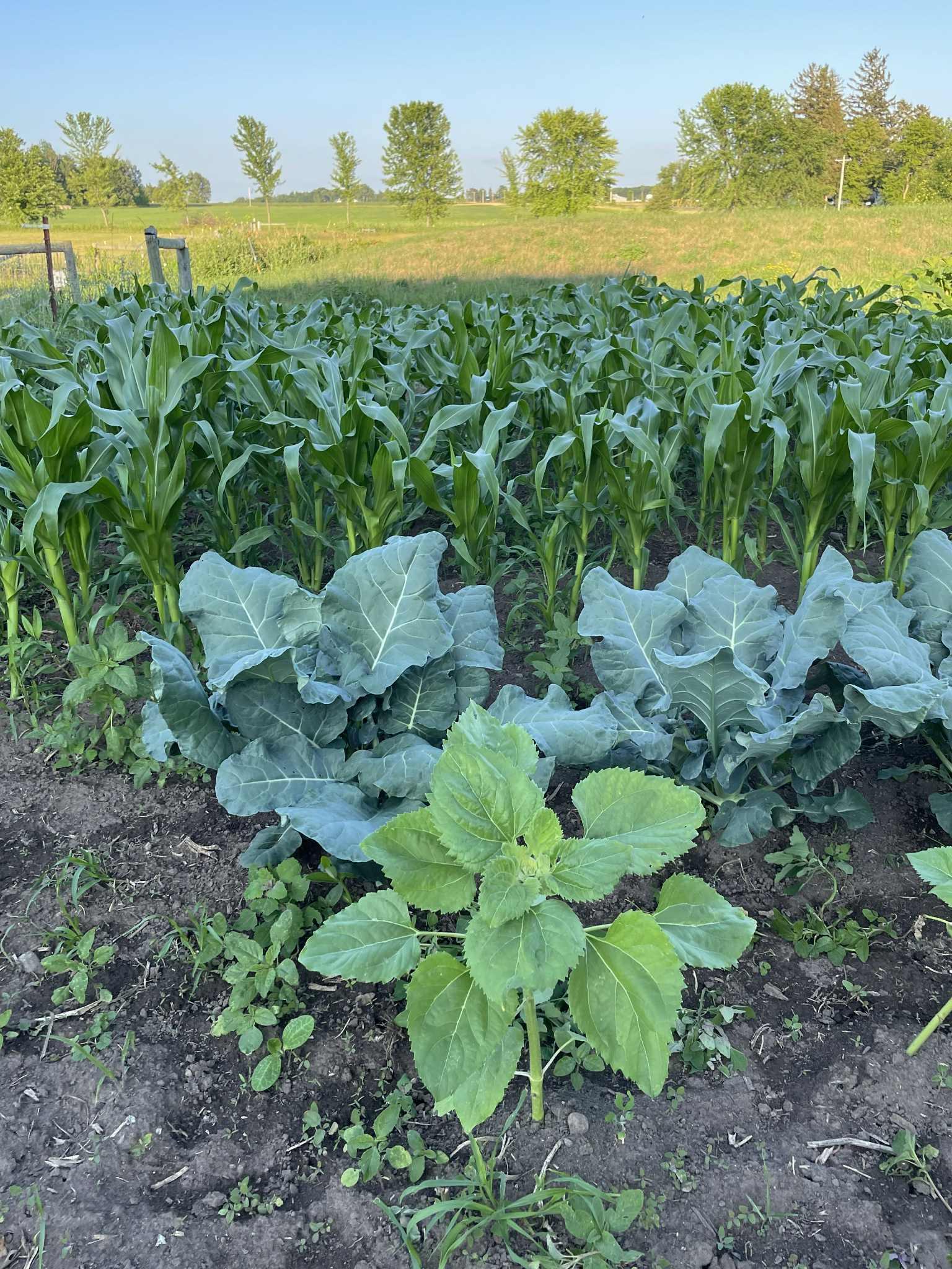 28297 St Croix Road Pine City, MN 55063 - Photo 59 of 77