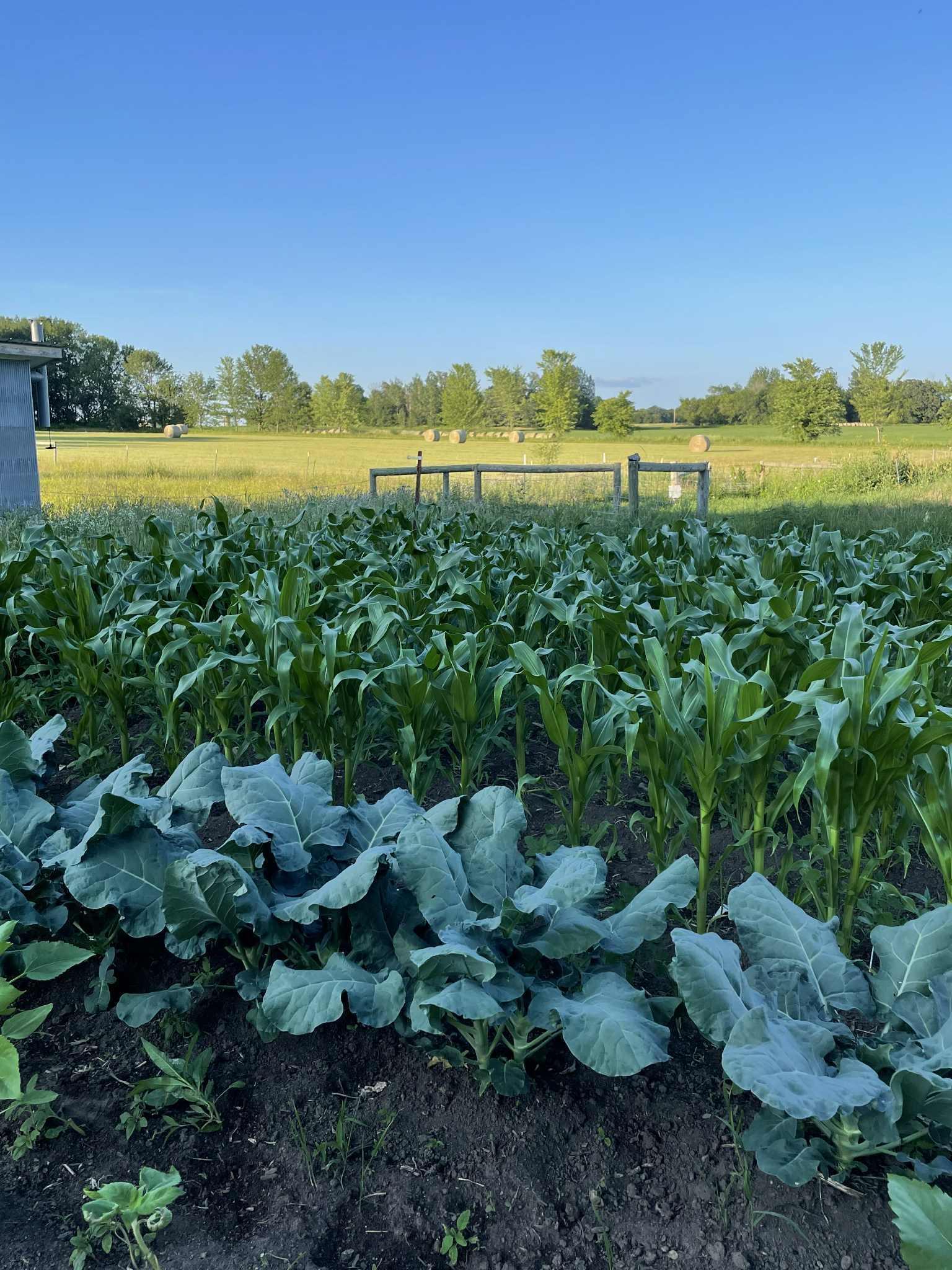 28297 St Croix Road Pine City, MN 55063 - Photo 60 of 77