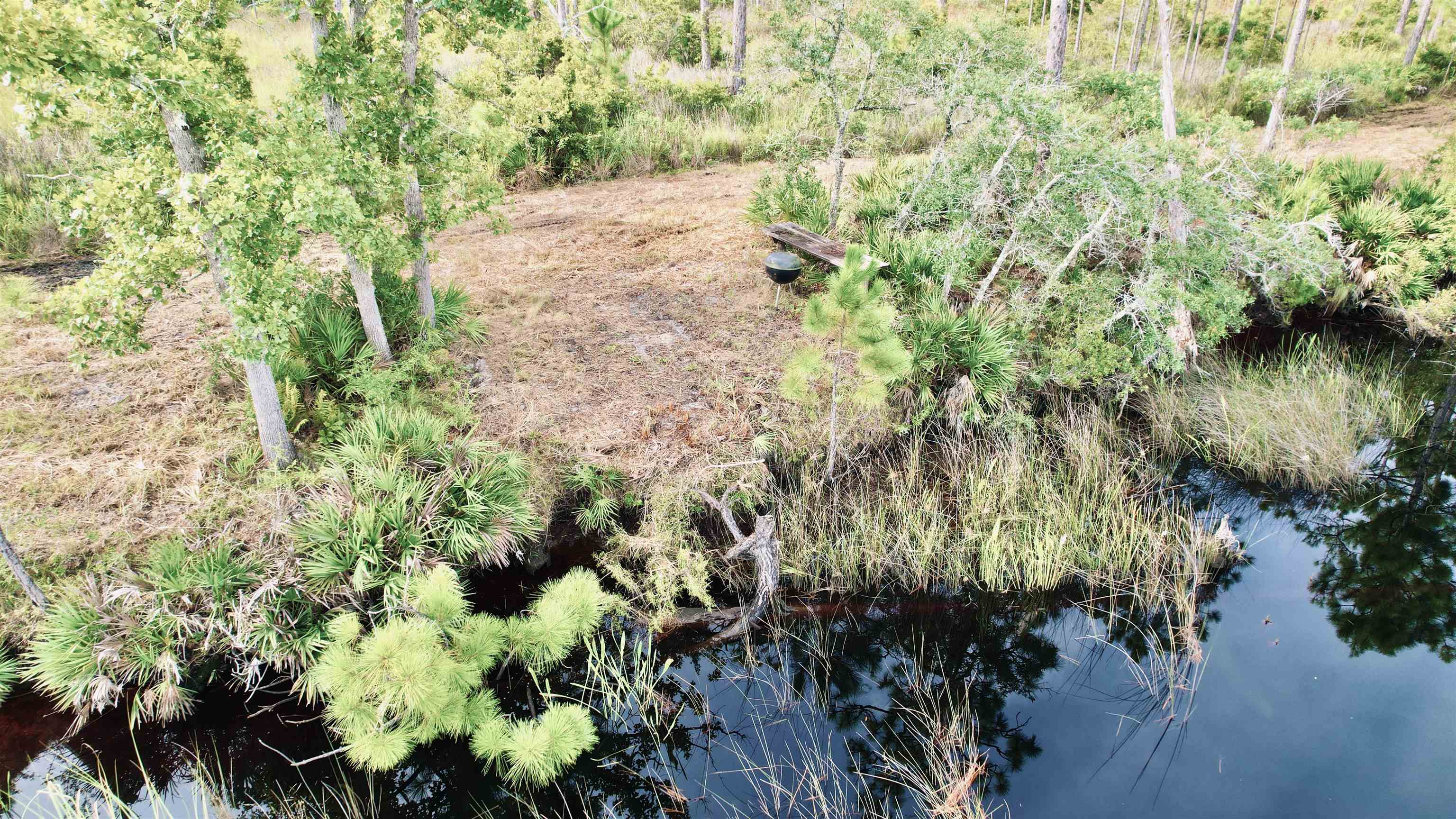 Xx Mill Road Carrabelle, FL 32322 - Photo 9 of 17