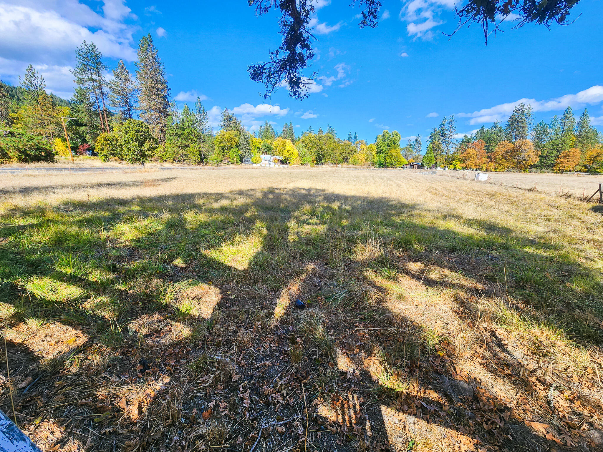 975 Cedar Flat Road Williams, OR 97544 - Photo 29 of 72 7