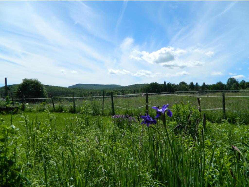 420 Morgan Road East Wheelock, VT 05851 - Photo 6 of 35 Gallery Image 6