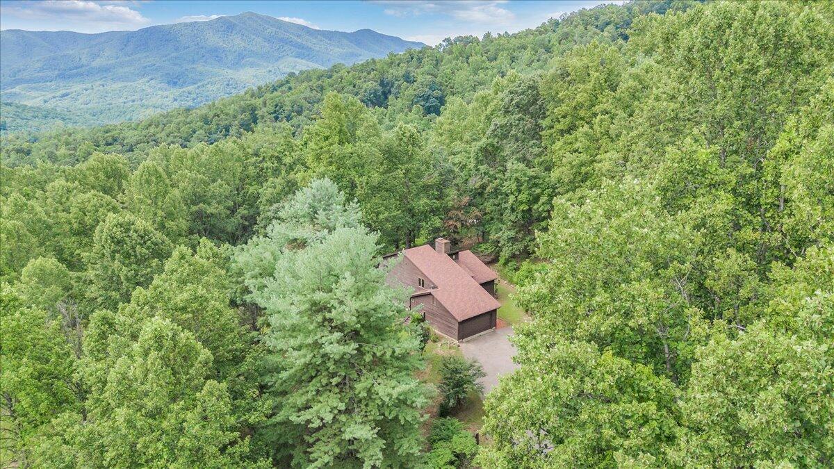 793 Meadow Branch Road Boones Mill, VA 24065 - Photo 61 of 95 061-DJI_20250718103822_0011_D
