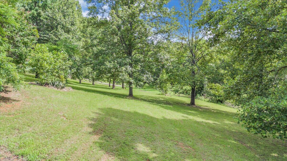 793 Meadow Branch Road Boones Mill, VA 24065 - Photo 87 of 95 086-DJI_20250718105105_0045_D